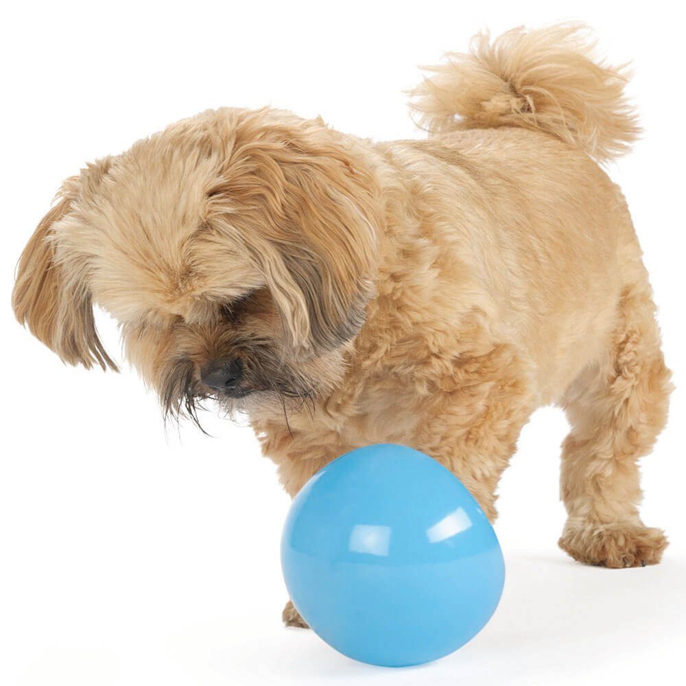 Outward Hound Tier-Intelligenzspielzeug Planet Dog Snoop günstig online kaufen