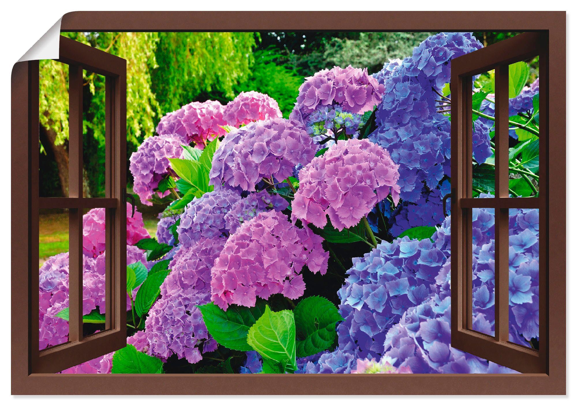 oder Hortensien Alubild, Blumen Garten, Wandaufkleber in als St), Leinwandbild, Fensterblick Artland Poster im Größen Wandbild (1 - versch.