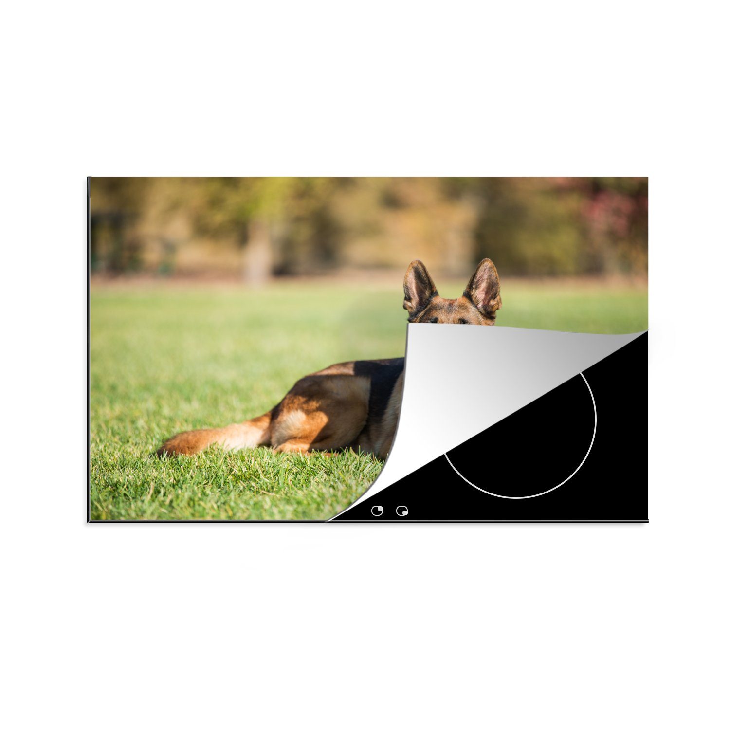 MuchoWow Herdblende-/Abdeckplatte Deutscher Schäferhund im Gras liegend, Vinyl, (1 tlg), 81x52 cm, Induktionskochfeld Schutz für die küche, Ceranfeldabdeckung