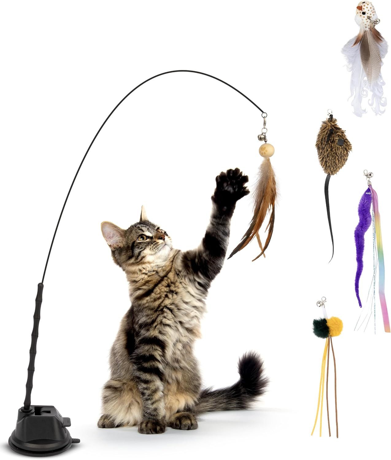Tier-Beschäftigungsspielzeug Katzenangel Spielzeug mit Saugnapf und Federn,für Katzen