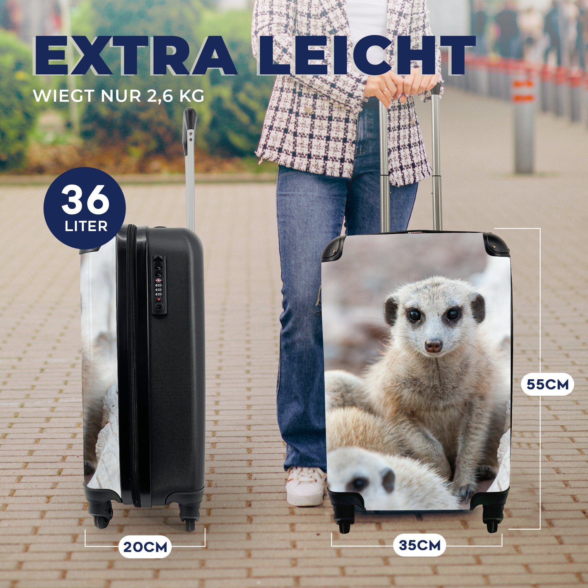 Ferien, für 4 Reisekoffer MuchoWow Erdmännchen, Trolley, mit Handgepäckkoffer Handgepäck Neugierige Reisetasche Rollen, rollen,