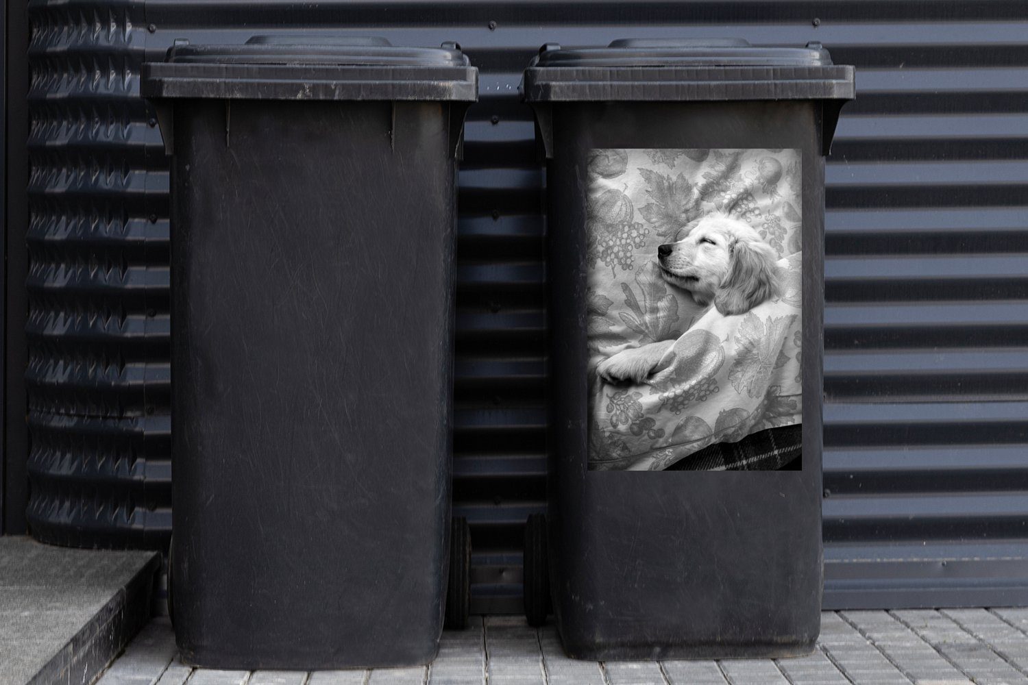 MuchoWow Wandsticker auf Welpe Retriever Container, (1 liegt St), Bett dem schwarz Mülleimer-aufkleber, - Abfalbehälter Mülltonne, und Sticker, Golden weiß
