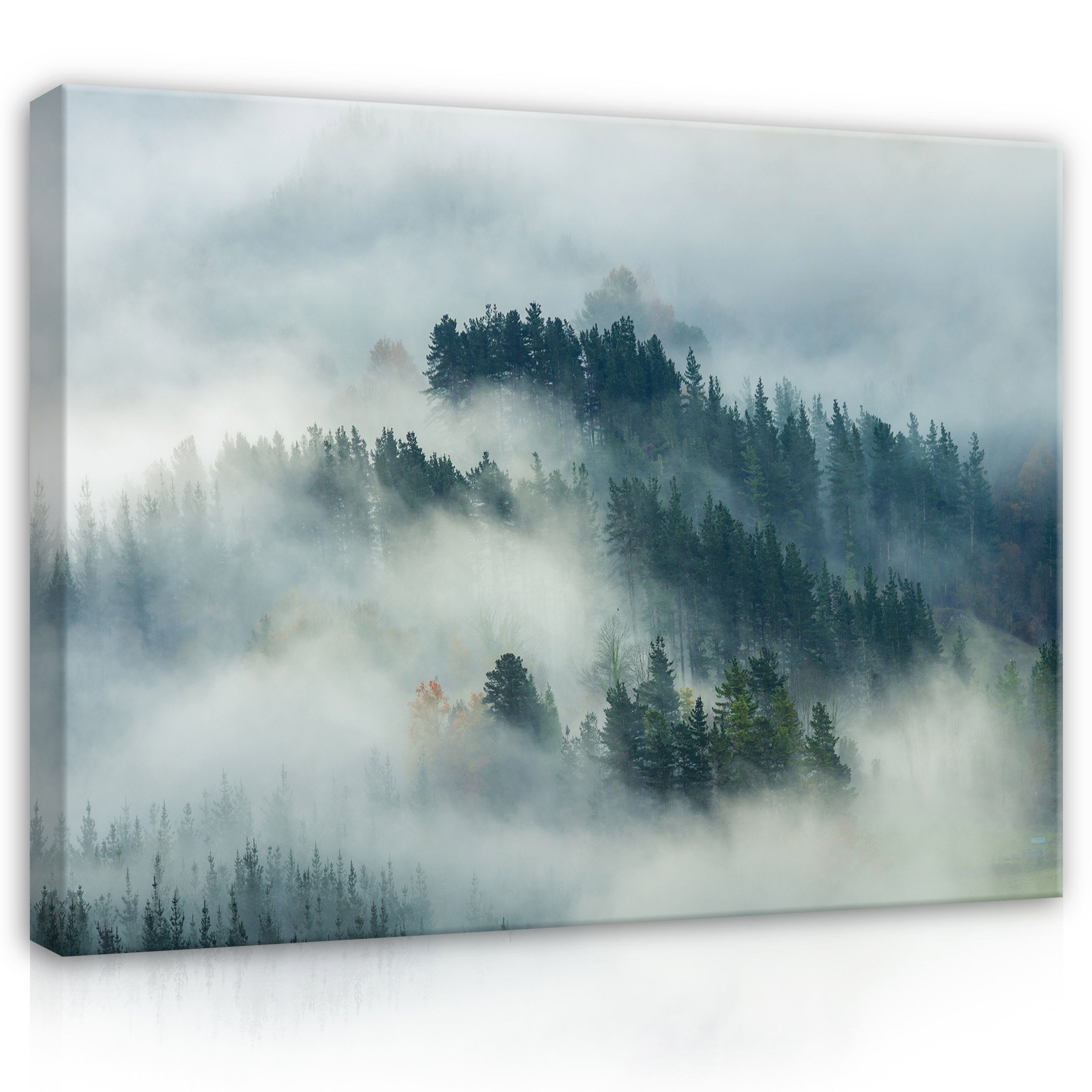 Natur Modern, Wallarena Aufhängefertig im Landschaft Wandbild Leinwandbild Kunst Leinwandbilder Nebel (Einteilig), XXL Wald