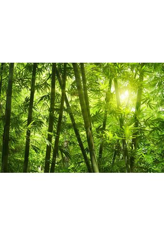 LIVING WALLS Фотообои »Bamboo Forest Vlies&la...