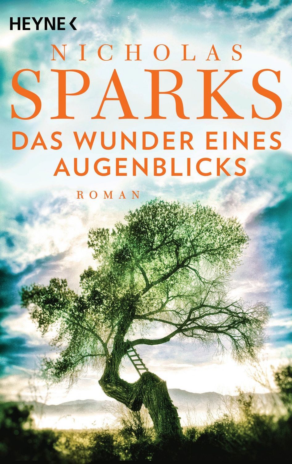 Das Wunder eines Augenblicks / Nicholas Sparks