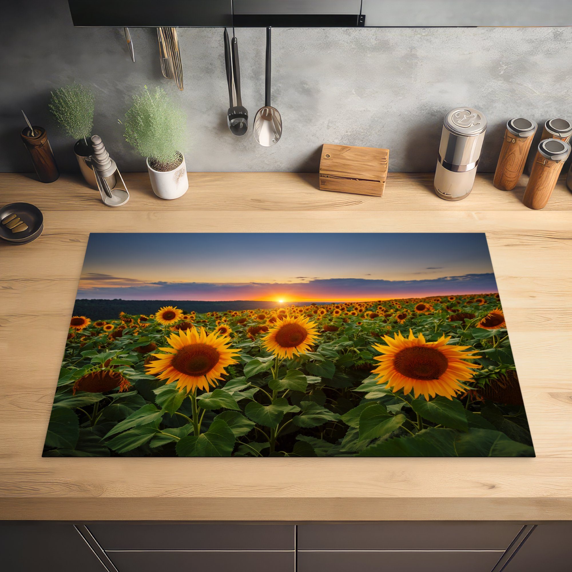 - Nacht - cm, 81x52 Herdblende-/Abdeckplatte (1 MuchoWow Sonnenblume Induktionskochfeld - Ceranfeldabdeckung für Schutz die Blumen Vinyl, tlg), Sonnenuntergang - küche, Horizont,