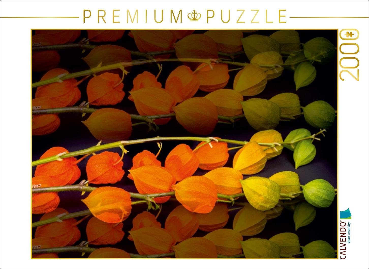 Foto-Puzzle 2000 Physalis. Puzzle Ingo Gerlach, Puzzleteile Emotionale 67 2000 x CH-Version Momente: cm CALVENDO Puzzle CALVENDO Lege-Größe von 90 / Teile Bild