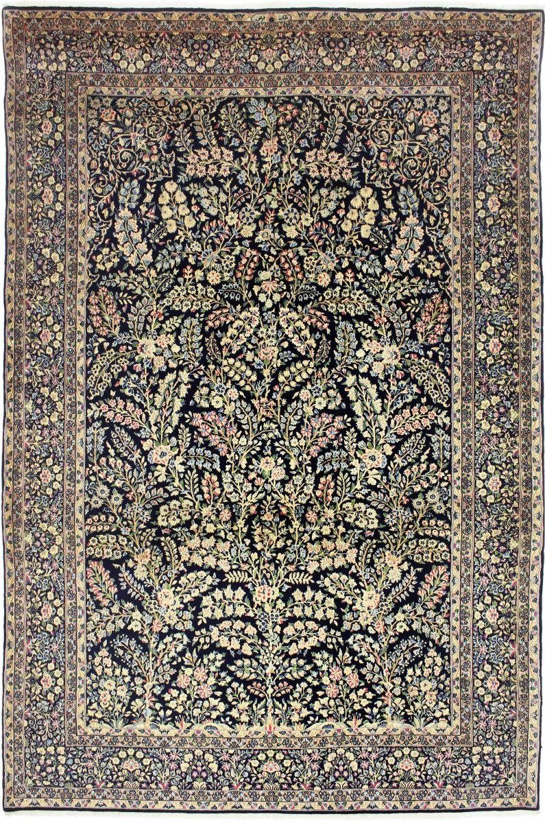 Orientteppich Kerman Rafsanjan Sherkat 200x308 Handgeknüpfter Orientteppich, Nain Trading, rechteckig, Höhe: 12 mm