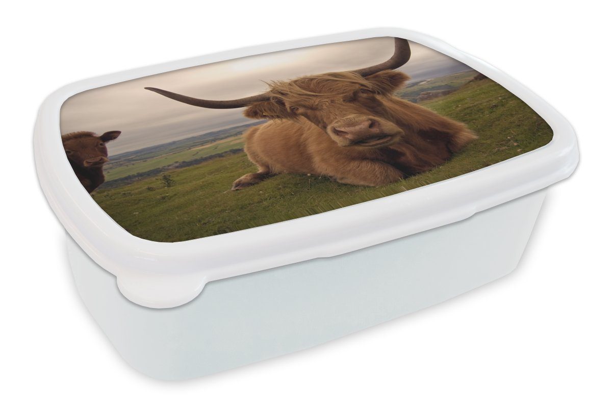 MuchoWow Lunchbox Schottischer Highlander - Tiere - Berg, Kunststoff, (2-tlg), Brotbox für Kinder und Erwachsene, Brotdose, für Jungs und Mädchen weiß | Lunchboxen