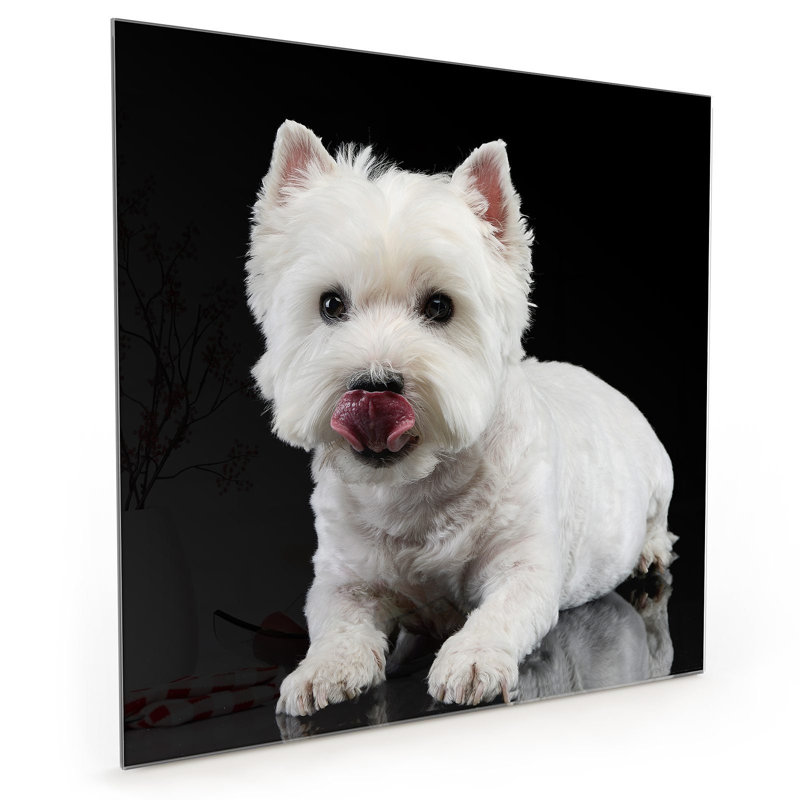 Motiv Terrier Primedeco Küchenrückwand Glas Spritzschutz mit Küchenrückwand