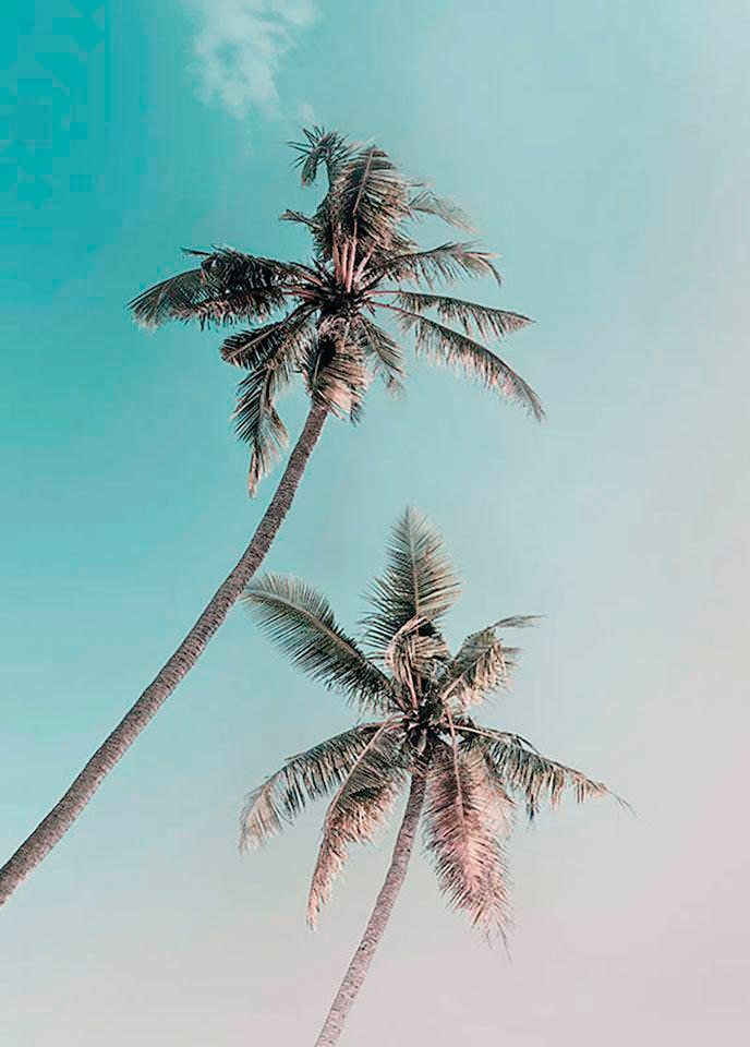 Komar Poster »Miami Palms«, Pflanzen, Blätter, Höhe: 70cm