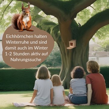 Oramics Eichhörnchenkobel 3x Eichhörnchen Holz Futterhaus Futterstelle Futterbox zum Aufhängen, mit großem Sichtfenster zur besseren Futter-Übersicht