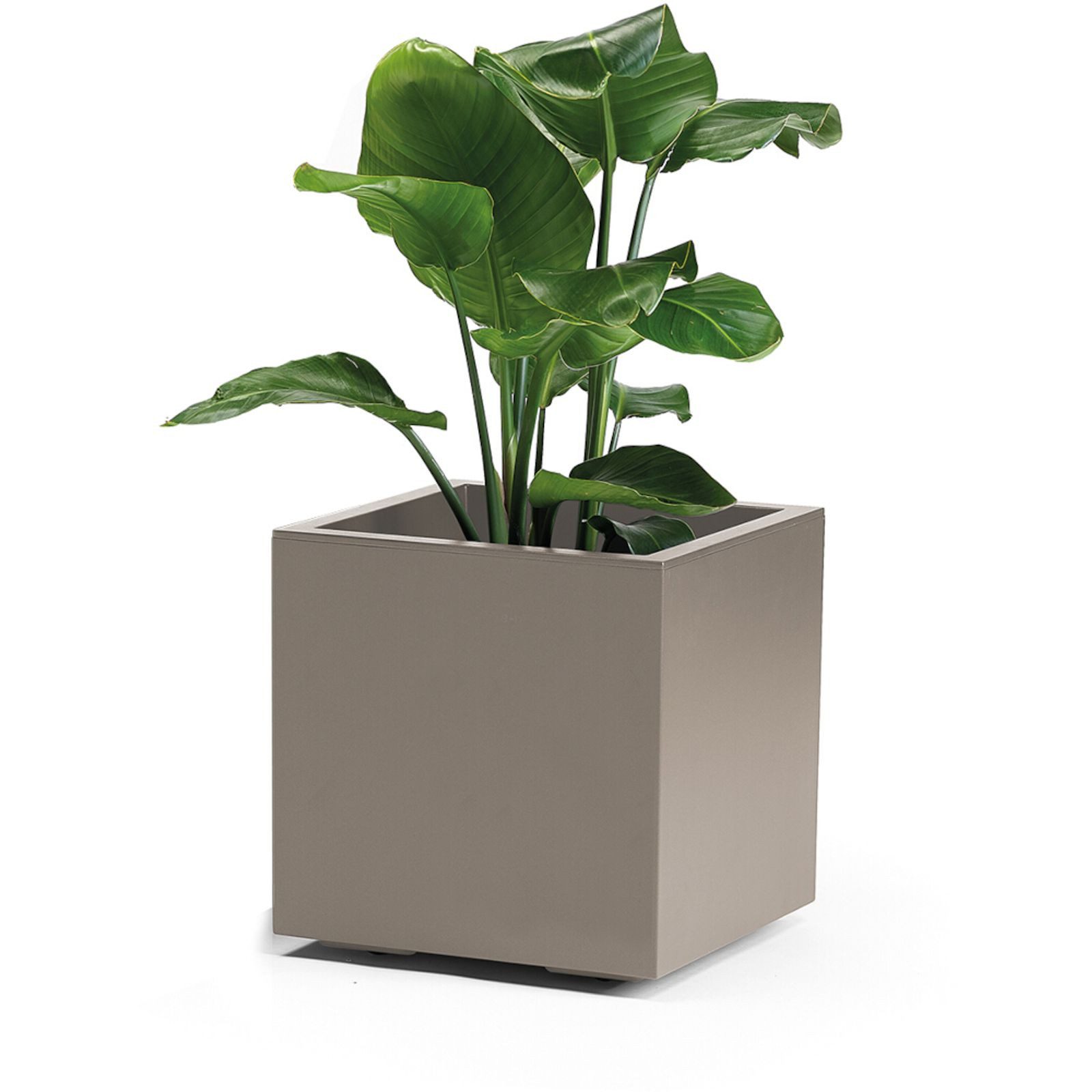 euro3plast Pflanzkübel Pflanzkübel GREENER KEBE 40 cm taupe mit Rollen und Wasserreservoir