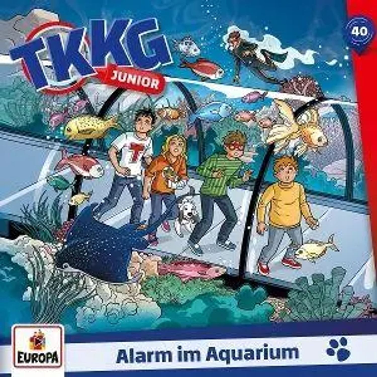 United Soft Media Hörspiel TKKG Junior 40: Alarm im Aquarium