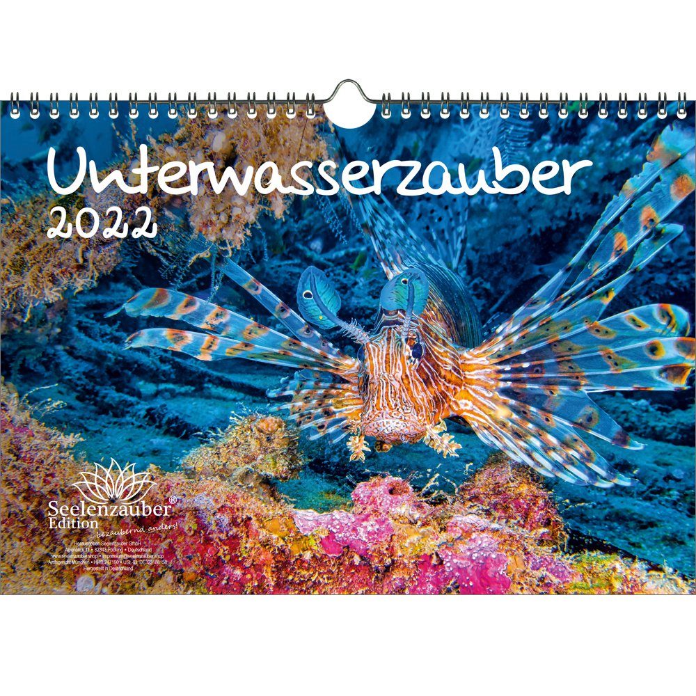 Seelenzauber Tierkalender »Unterwasserzauber DIN A4 Kalender für 2022  Unterwa« online kaufen | OTTO