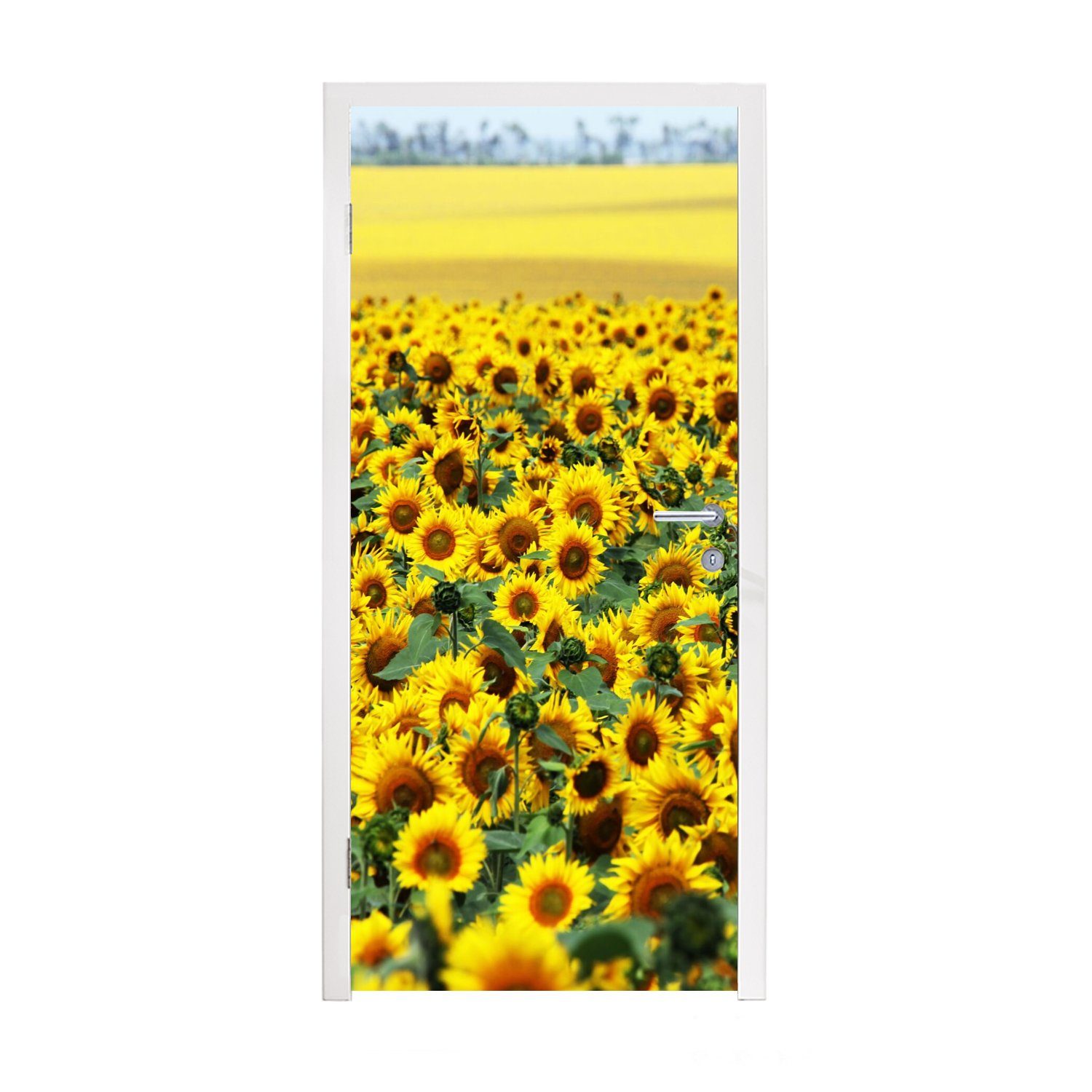 MuchoWow Türtapete Sonnenblume - Blumen - Natur, Matt, bedruckt, (1 St), Fototapete für Tür, Türaufkleber, 75x205 cm