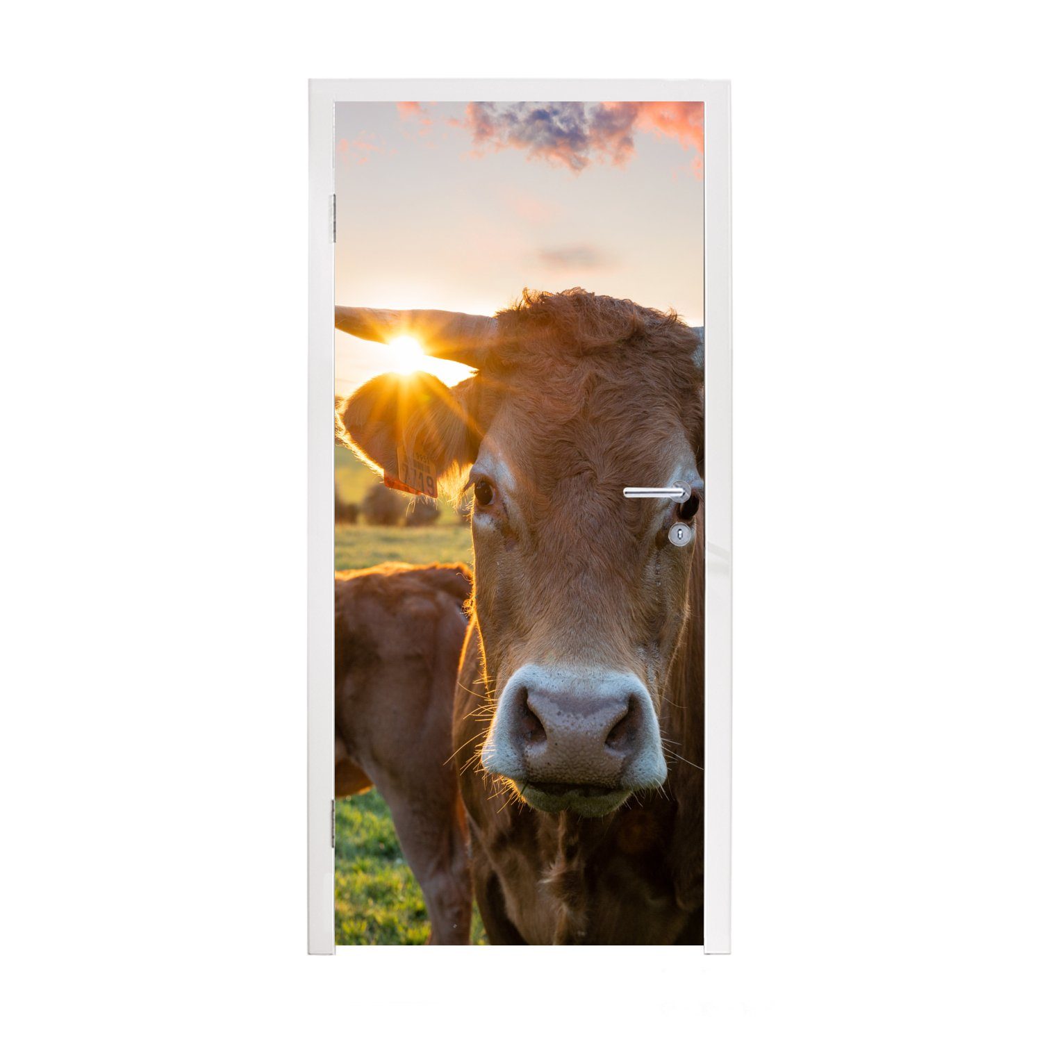 MuchoWow Türtapete Kühe - Sonne - Wiese - Landleben, Matt, bedruckt, (1 St), Fototapete für Tür, Türaufkleber, 75x205 cm | Türtapeten