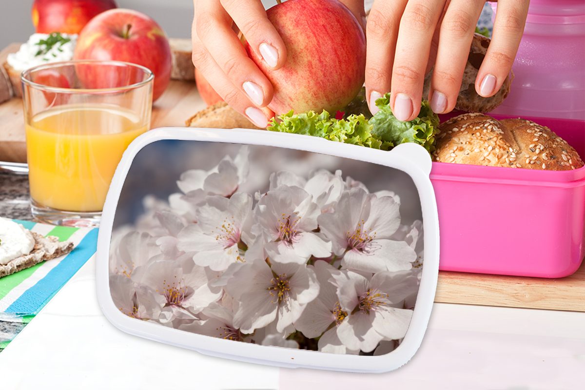 (2-tlg), Brotdose - Kunststoff, Blumen Sonne Kinder, Mädchen, rosa Snackbox, für MuchoWow Lunchbox Brotbox Erwachsene, - Blüte, Kunststoff