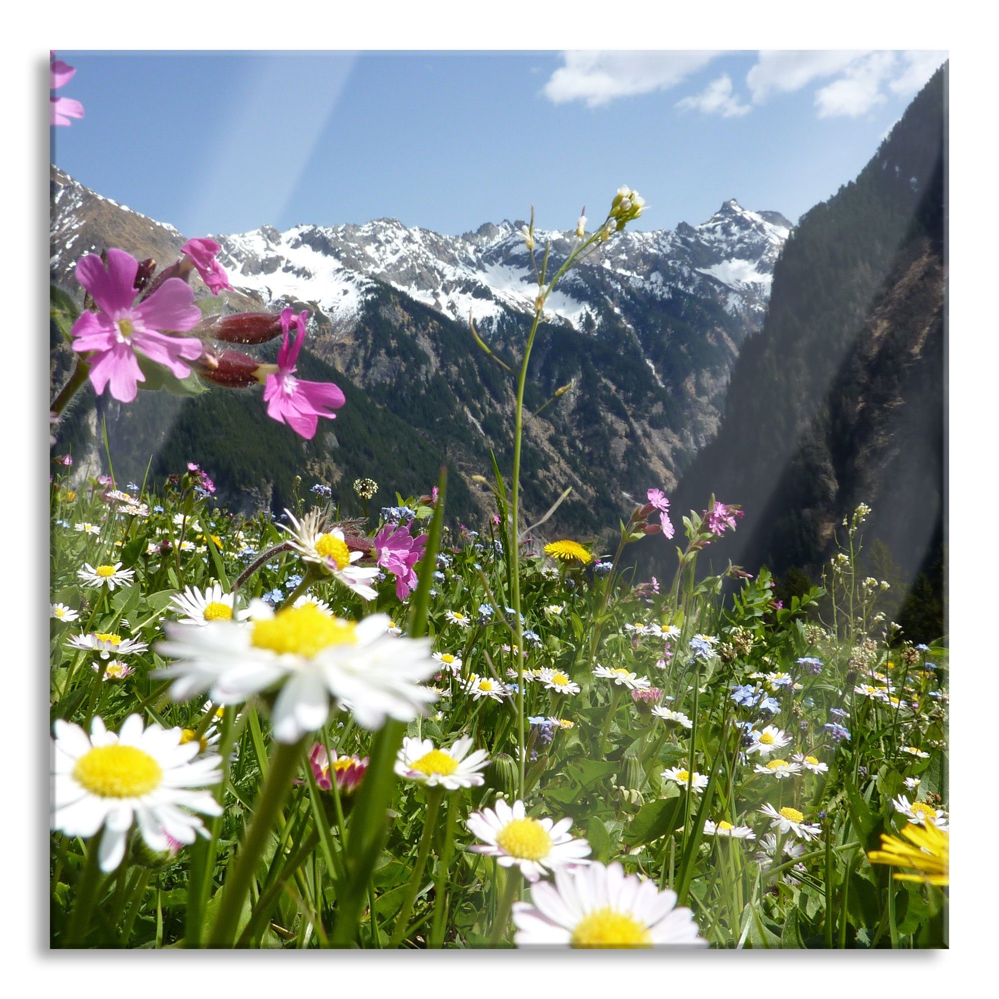Pixxprint Glasbild Wunderschöne Echtglas, Alpenwiese, Alpenwiese und inkl. Blumen aus Blumen (1 Abstandshalter St), Wunderschöne Glasbild Aufhängungen