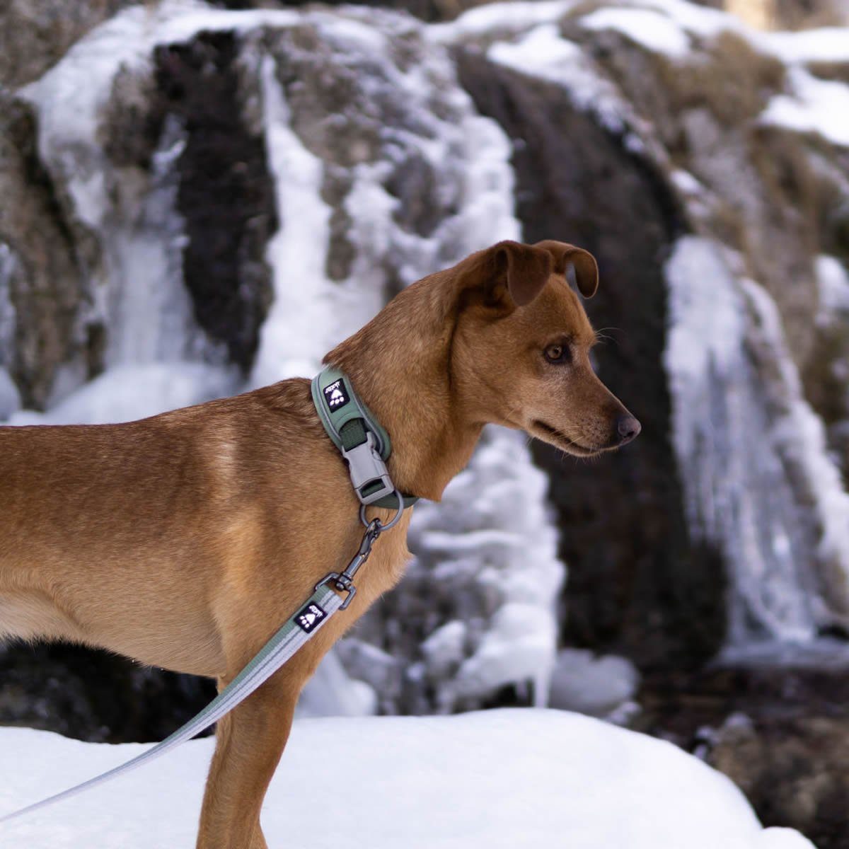 HURTTA Hunde-Halsband Weekend Warrior Halsband grün (Eco Edition)