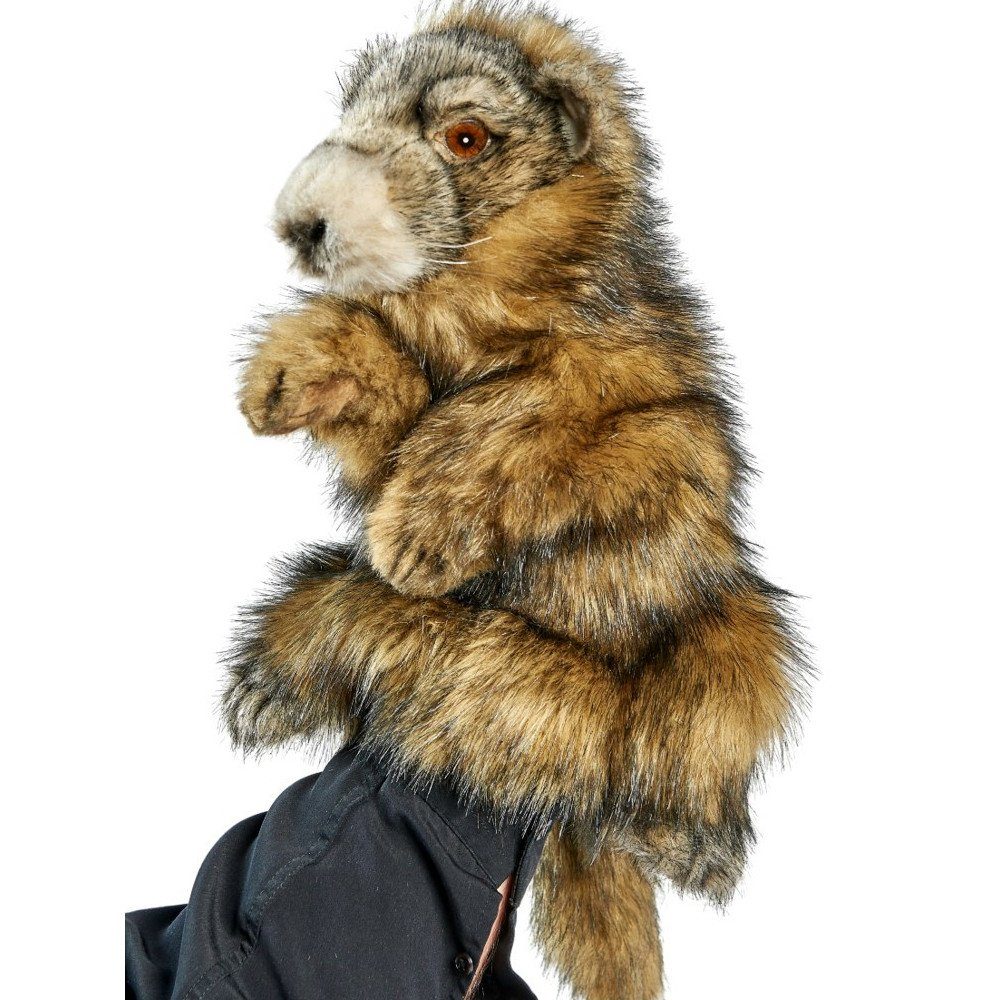 Handpuppe Hansa Creation - Kuscheltier - Handpuppe Murmeltier