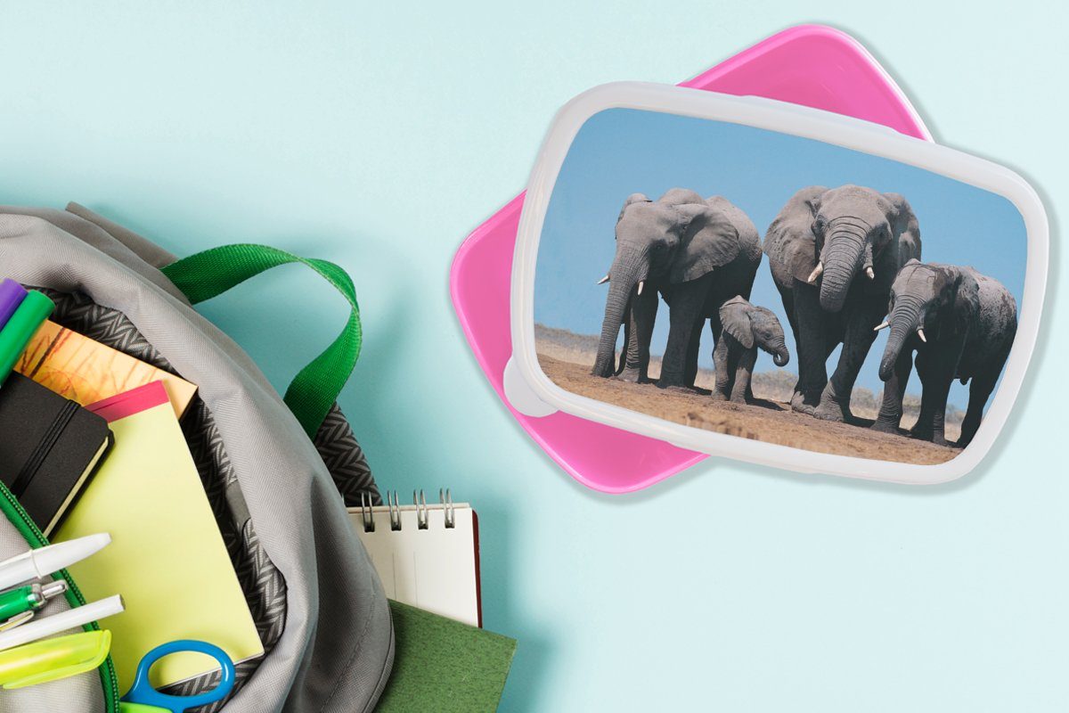 Kunststoff, Mädchen, Kinder, für Brotdose Erwachsene, Kunststoff Elefant rosa Prärie Lunchbox (2-tlg), - MuchoWow - - Snackbox, Brotbox Natur, Tiere