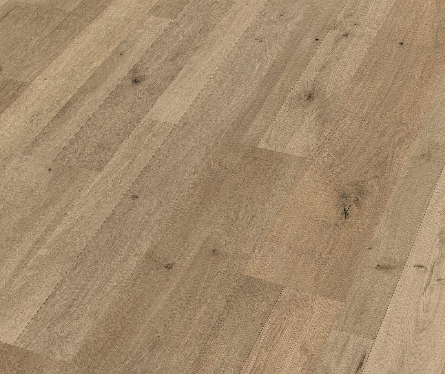 meister Laminat MEISTER Laminat LC 55 S – 8,5 mm, NKL 23/31, MEISTER Laminat LC 55 S: 8,5 mm, NKL 23/31