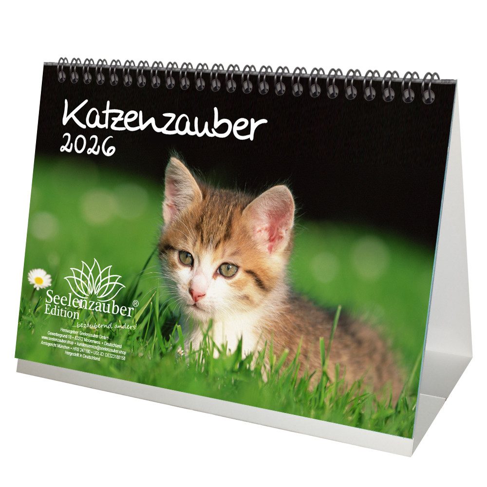 Seelenzauber Tischkalender Katzenzauber DIN A5 Tischkalender für 2026 Katzen und Katzenbabys