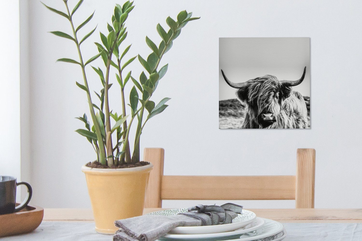 St), (1 Leinwandbild - -, Wohnzimmer Weiß Schlafzimmer Schottischer Hochländer Tier Schwarz - Leinwand bunt Kuh Natur für - - Bilder OneMillionCanvasses® -