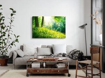 Sinus Art Leinwandbild 120x80cm Wandbild auf Leinwand Grüne Wiese am Waldrand Natur Pusteblum, (1 St)