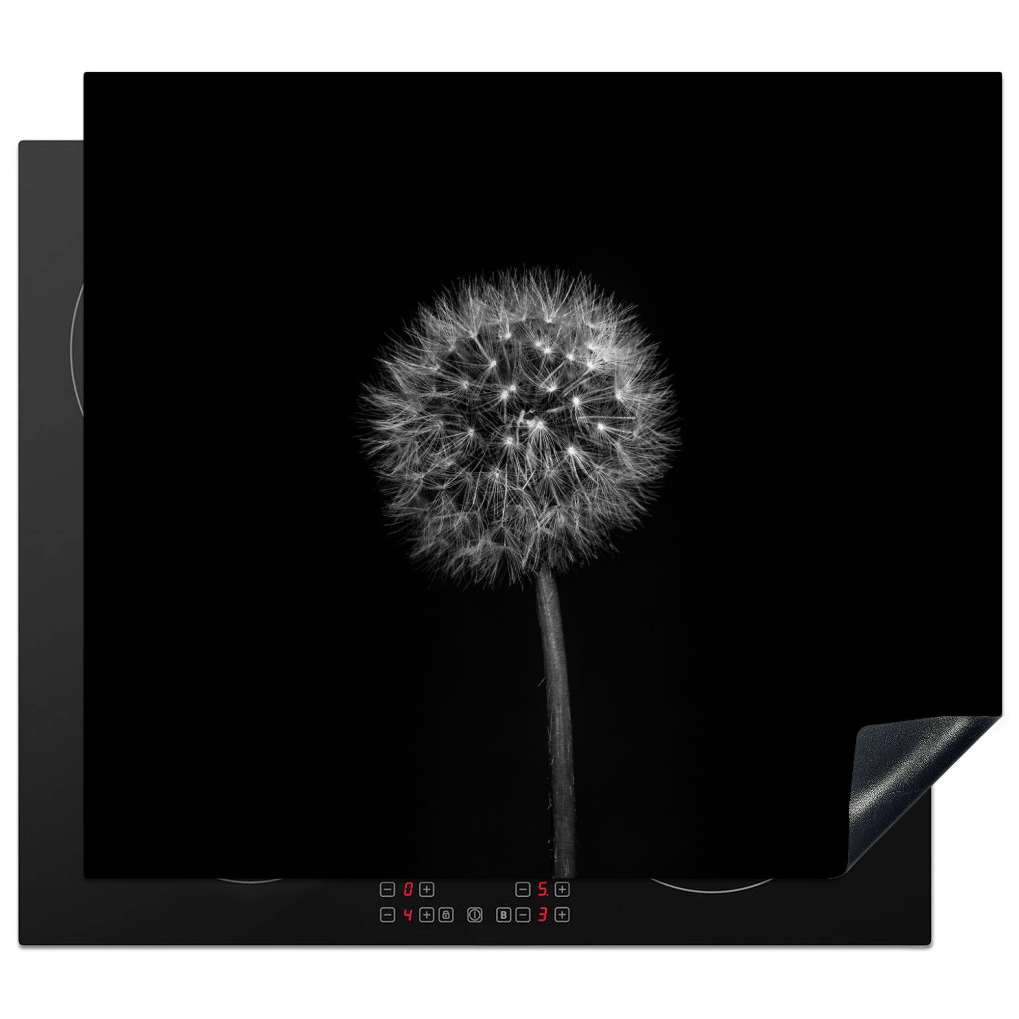 MuchoWow Herd-Abdeckplatte Löwenzahn - Schwarz - Floral - Botanisch, Vinyl, (1 tlg), Ceranfeldabdeckung Küche, Herdabdeckplatte Einteilig, 60x52 cm