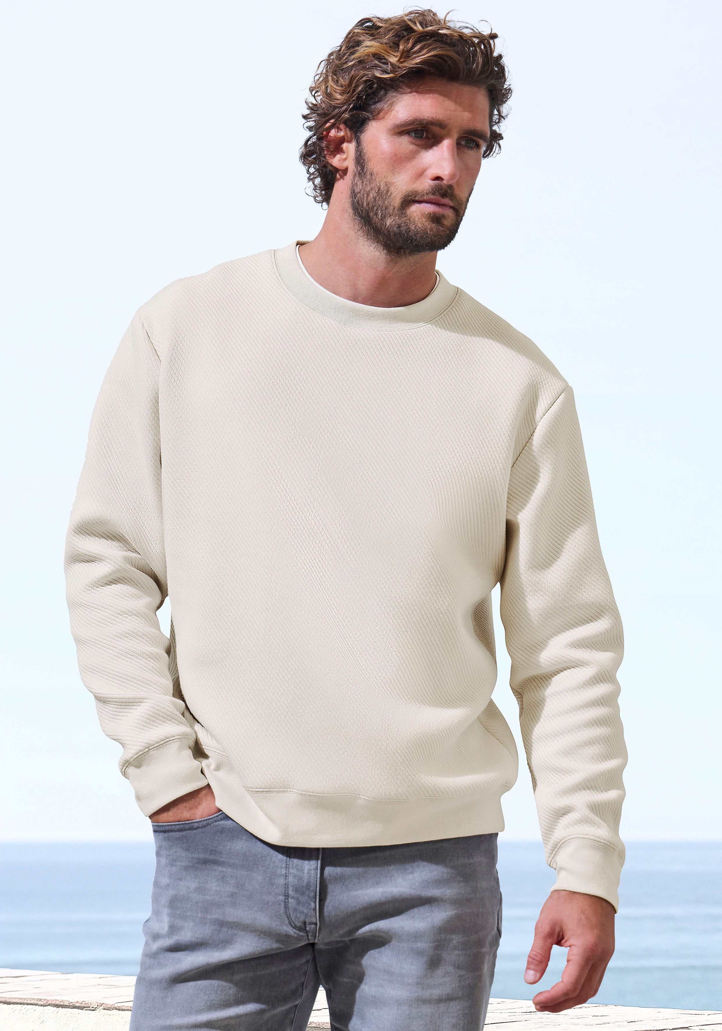 John Devin Sweatshirt Langarm, Pullover mit Struktur, Rundhals, Baumwollmischung