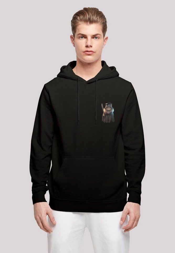 F4NT4STIC Kapuzenpullover Wizard Cat HOODIE Print