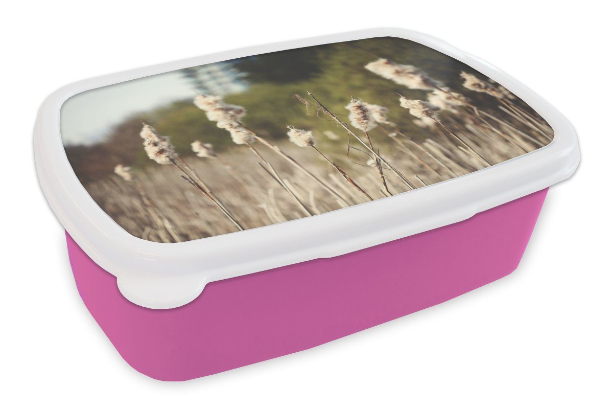 MuchoWow Lunchbox Baumwolle - Sonne - Pflanzen, Kunststoff, (2-tlg), Brotbox für Erwachsene, Brotdose Kinder, Snackbox, Mädchen, Kunststoff rosa