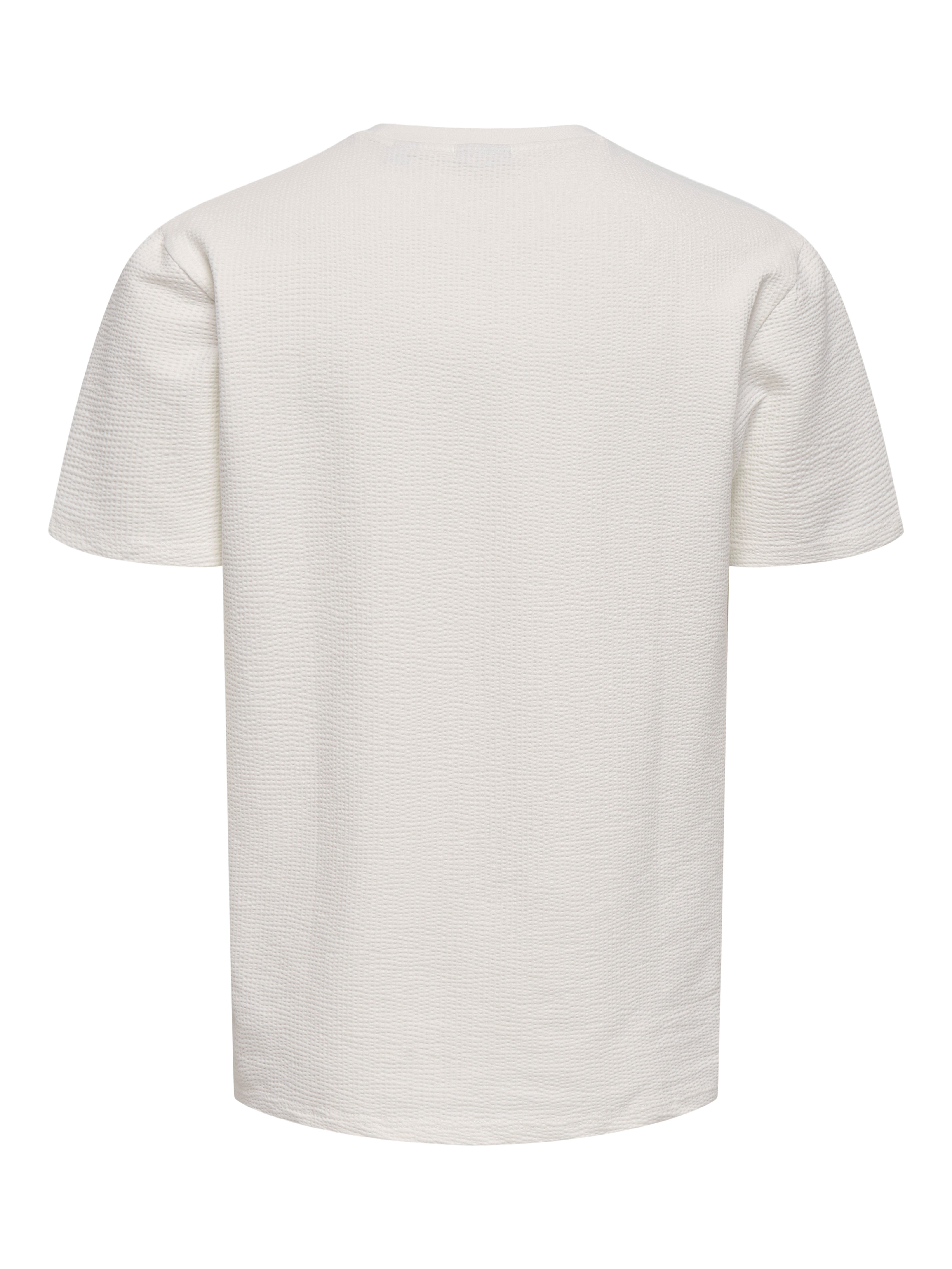 ONLY & SONS Rundhalsshirt ONSKIAN LIFE REG SEERSUCKER SS TEE NOOS