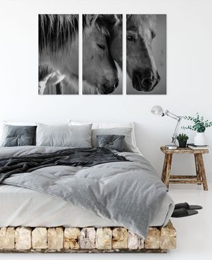 Pixxprint Leinwandbild zwei liebevolle Pferde, zwei liebevolle Pferde 3Teiler (120x80cm) (1 St), Leinwandbild fertig bespannt, inkl. Zackenaufhänger