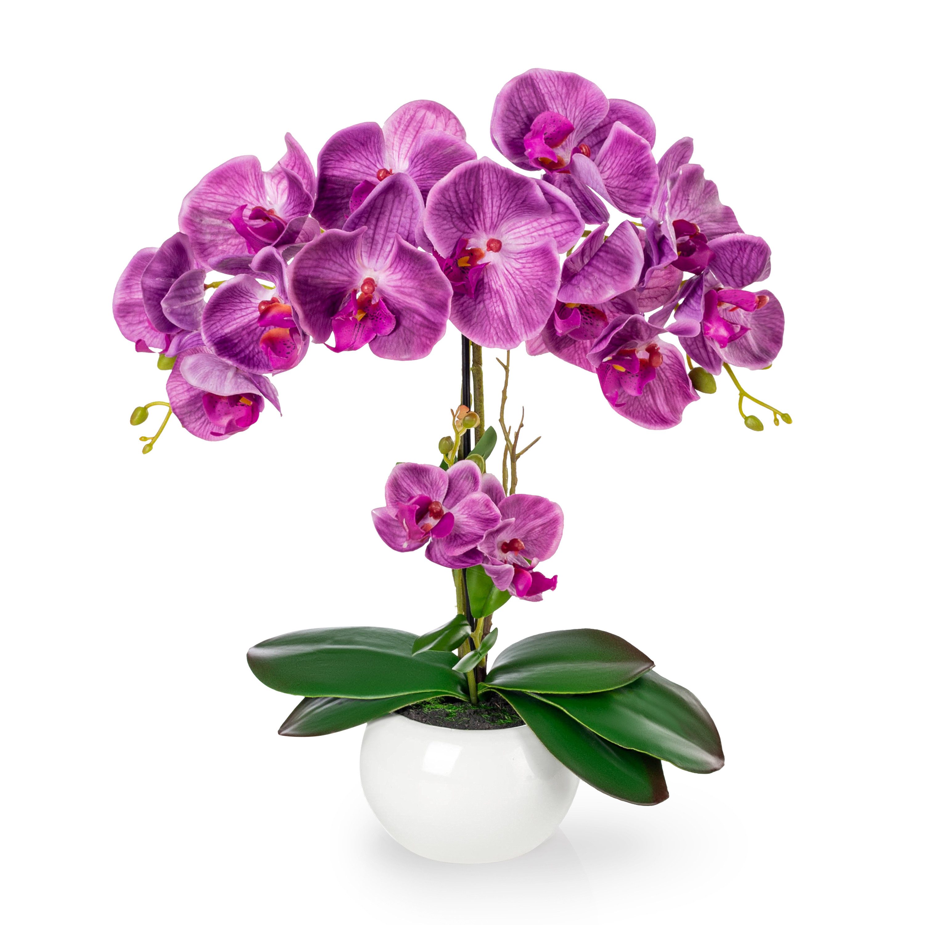 Kunstorchidee PASCH® Orchidee künstlich wie echt (40cm) in Hochglanz-Kerami günstig online kaufen