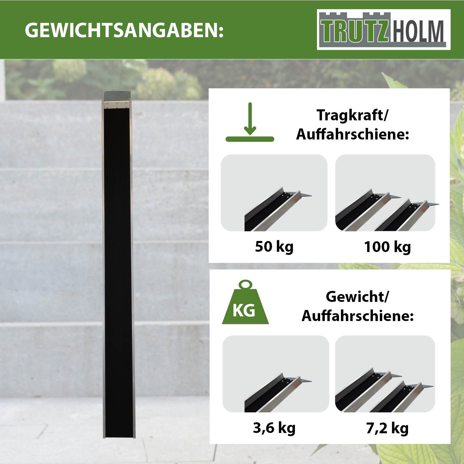 TRUTZHOLM Auffahrrampe Auffahrschiene Aluminium 194 cm 50 kg E-Bike Fahrradrampe Treppe Auto (Produkt, 1-St), keine Löcher Friktion,Anti-Rutsch Beschichtung
