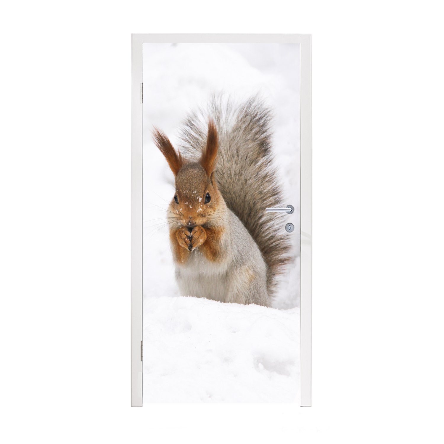 MuchoWow Türtapete Eichhörnchen - Tier - Schnee, Matt, bedruckt, (1 St), Fototapete für Tür, Türaufkleber, 75x205 cm