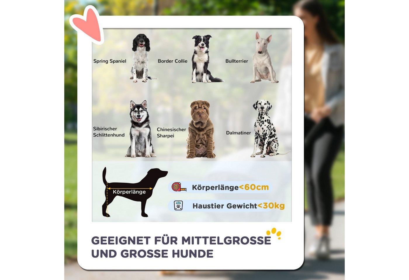 Thumbnail - MC Star Hundebuggy Hundewagen faltbar mit Kissen und Sicherheitsleinen, Katzenbuggy, (mit Netzfenster und Seitentasche a...