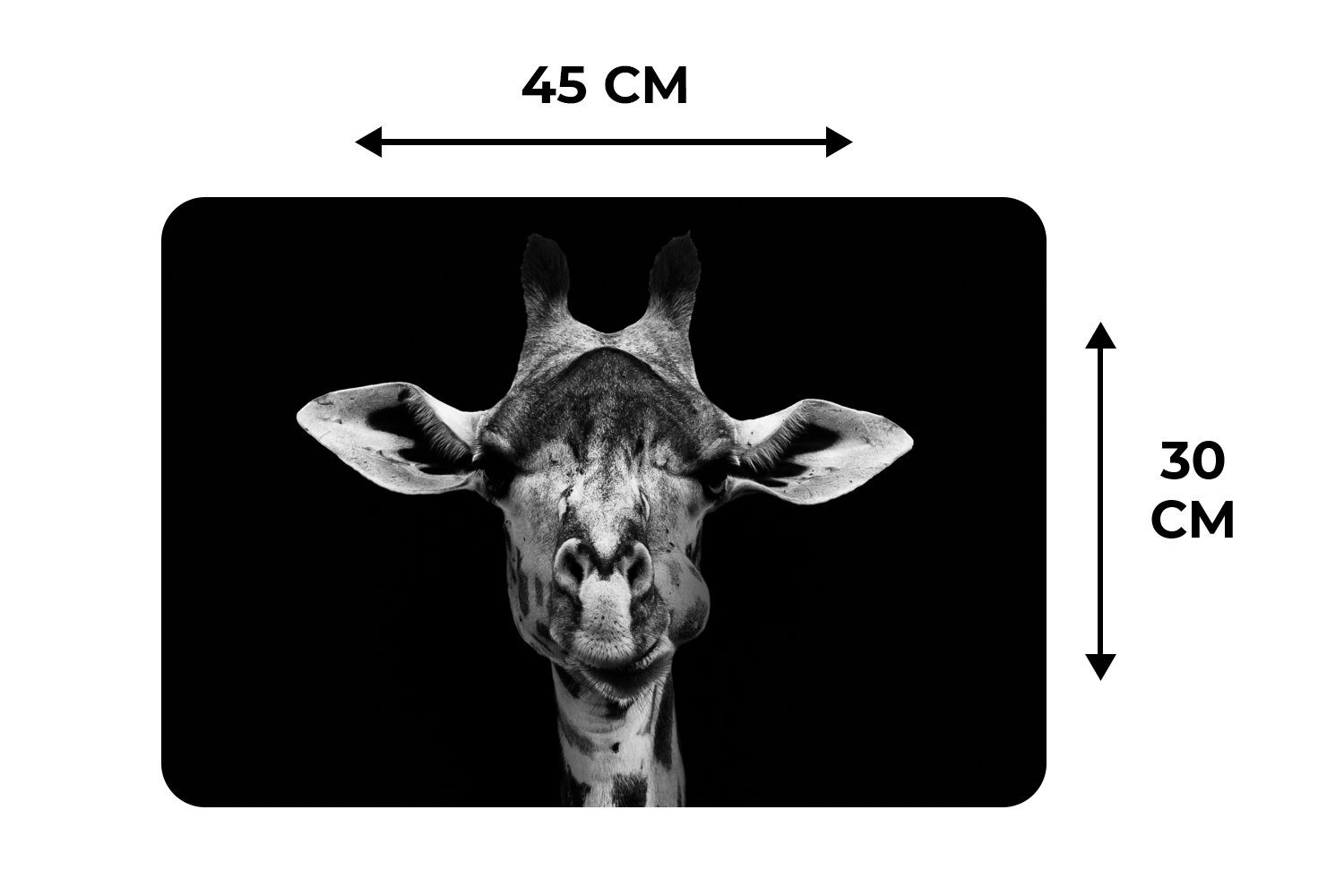 Platzset, Giraffe - Platzdecken, Schwarz, Porträt Tiere Schmutzabweisend MuchoWow, Tischmatten, - (6-St), Platzmatte, - Platzset
