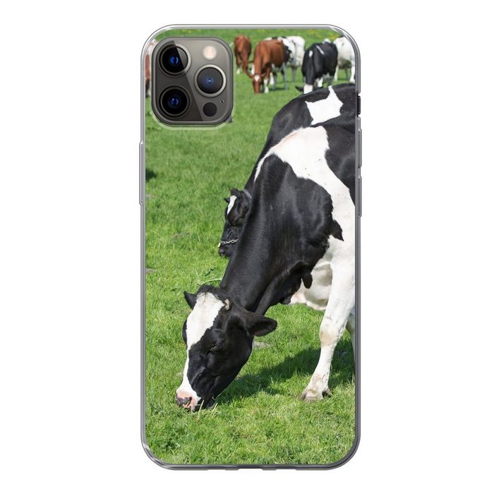 MuchoWow Handyhülle Kuh - Tiere - Gras - Sonne Handyhülle Apple iPhone 13 Pro Max Smartphone-Bumper Print Handy