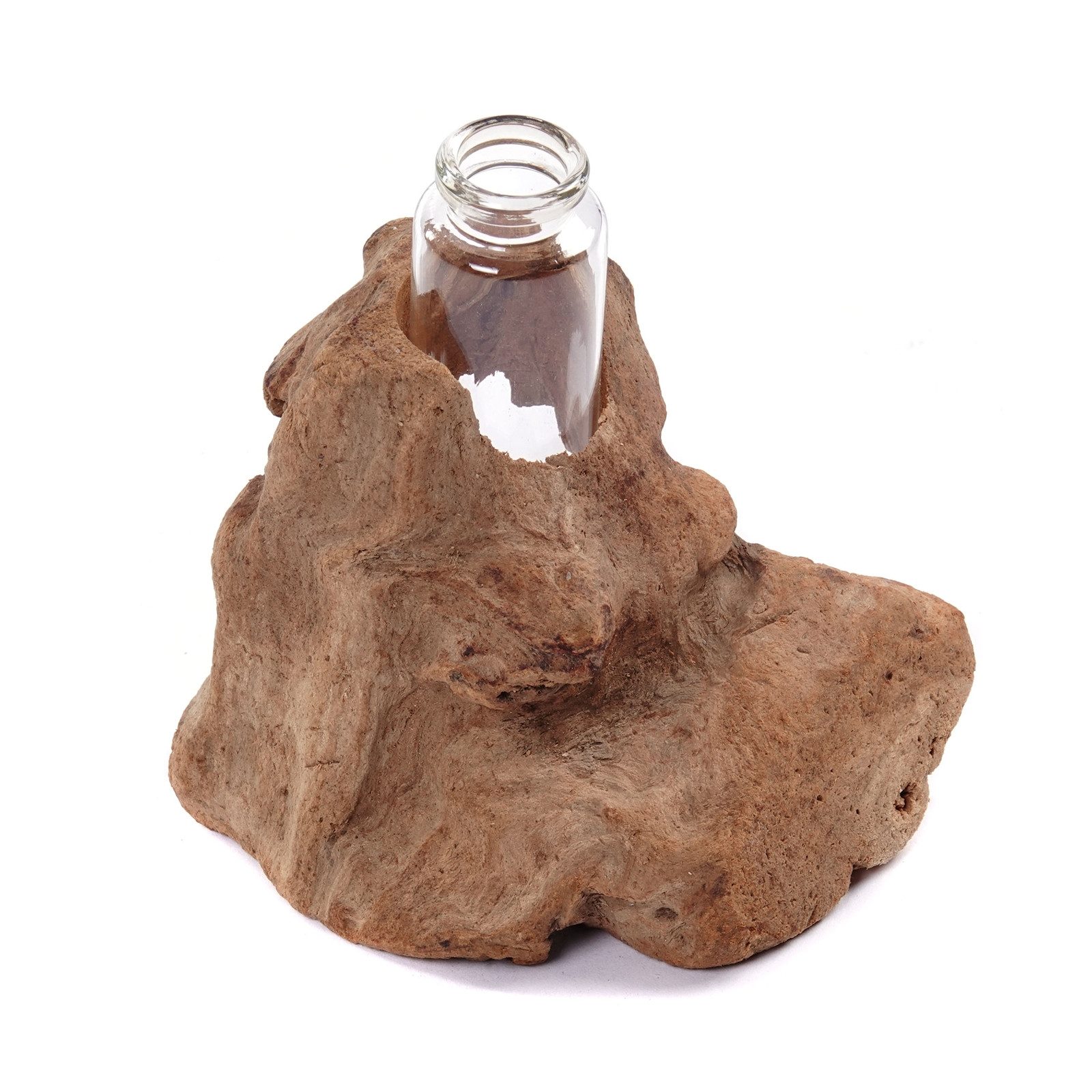 CREEDWOOD Wasserhyazinthenvase TREIBHOLZ MIT REAGENZGLAS VASE "YUMA", Wurzel Blumen Vase, Tischvase