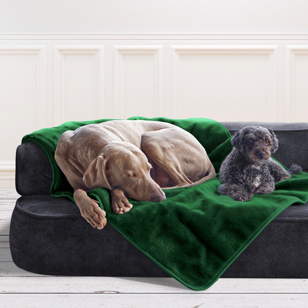 tierlando® Tierdecke Hundedecke LILLY Flauschige Haustier-, Welpen-, Katzen-, Plüschdecke, Kuschelweich, Waschbar