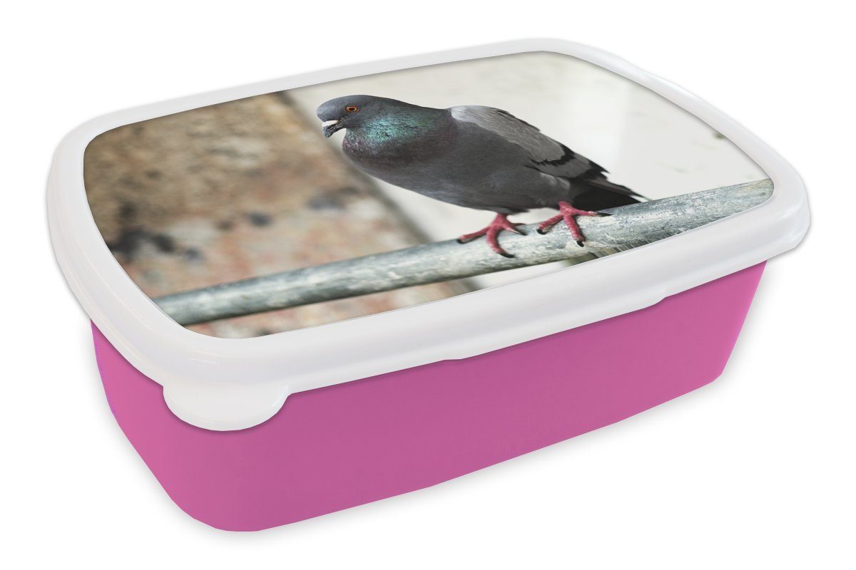 MuchoWow Lunchbox Eine bunte Taube auf einem Holzstab, Kunststoff, (2-tlg), Brotbox für Erwachsene, Brotdose Kinder, Snackbox, Mädchen, Kunststoff rosa
