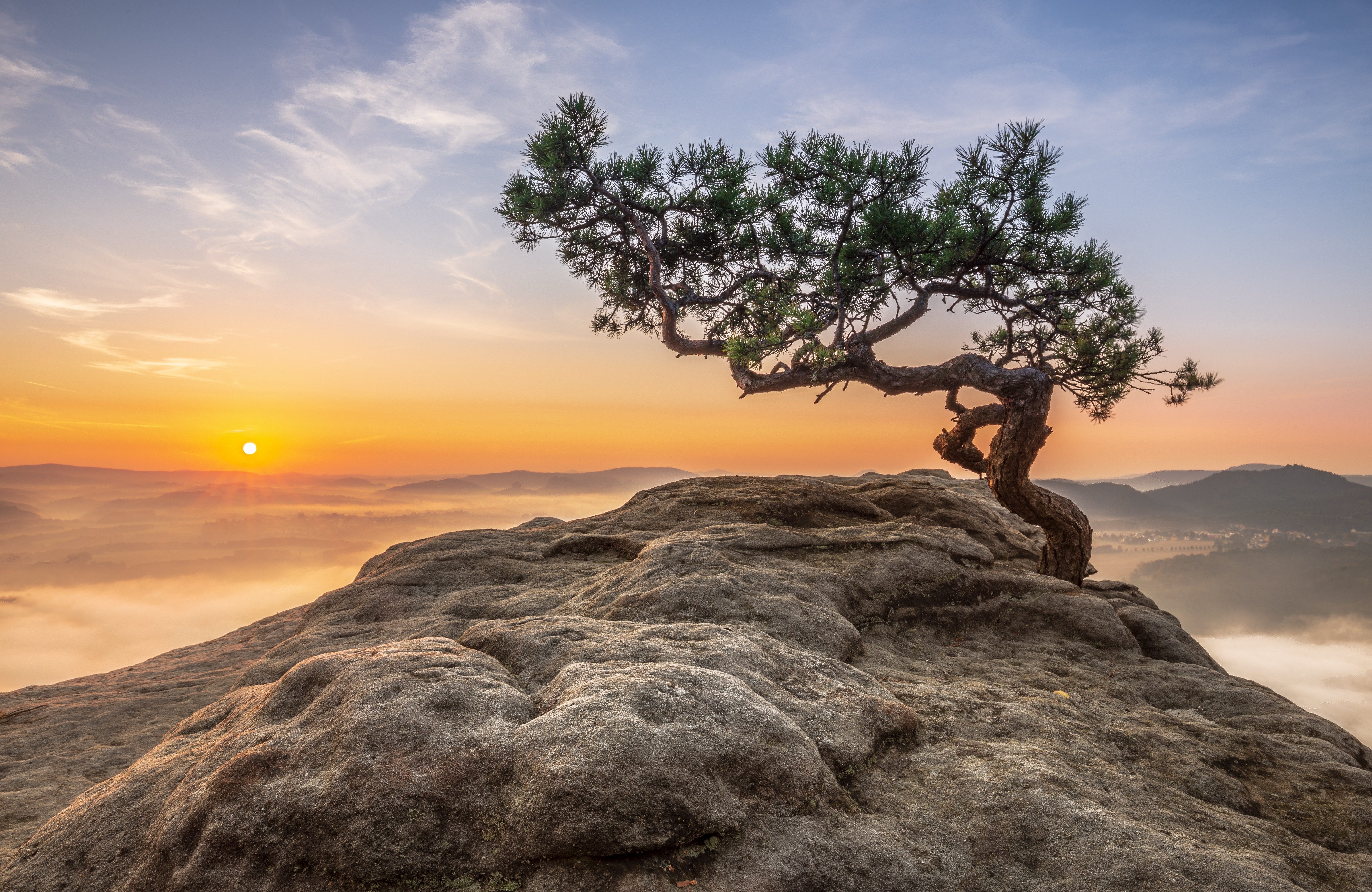 Fototapete VLIES-Tapete Premium Natur Fels Baum Sonne Himmel Orange Berge