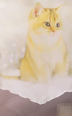 Scheibengardine SET Scheibenhänger Katze im Schnee, LYSEL®, (1 St), transparent, HxB 45x30cm