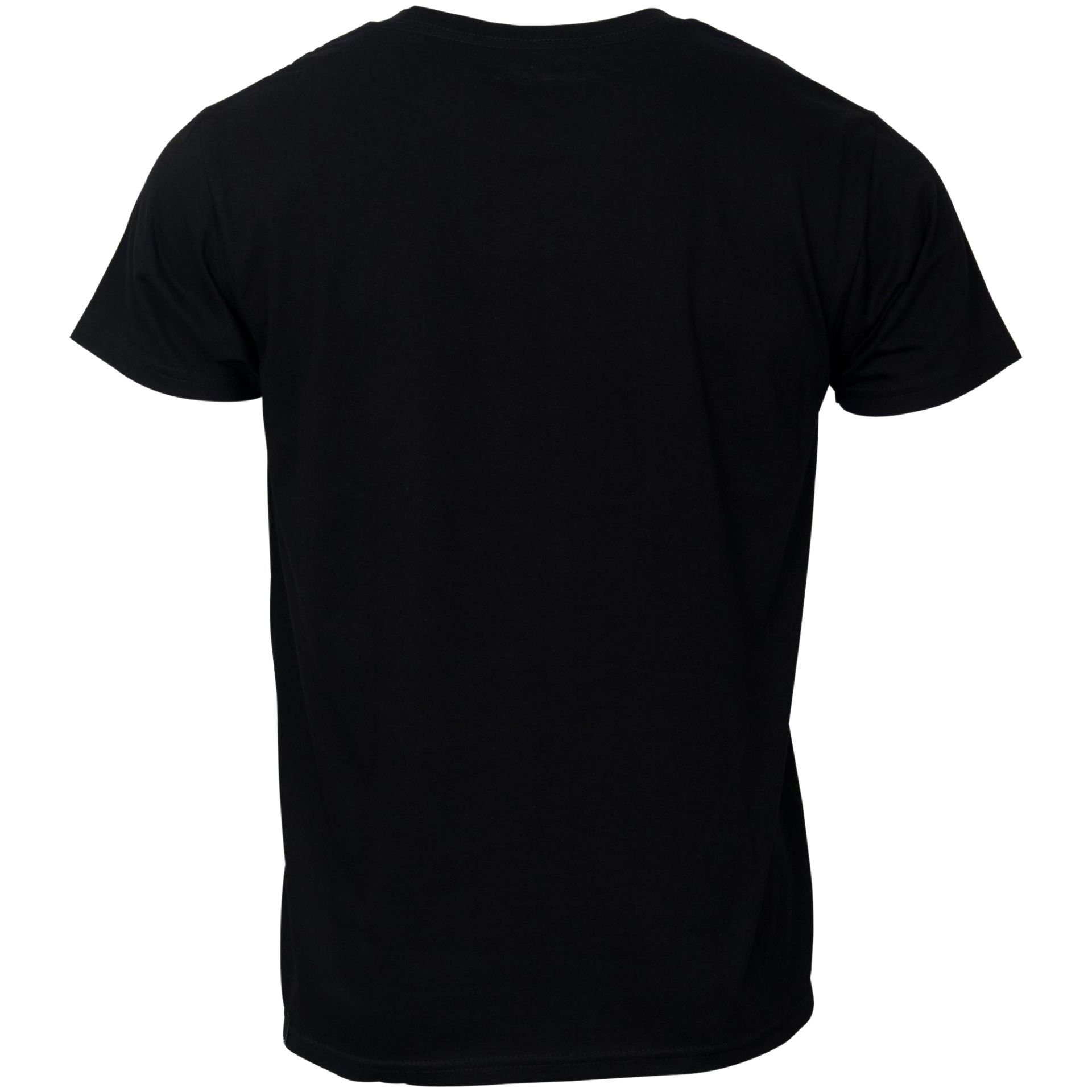 (Schwarz) T-Shirt Ageless Alpinestars schwarz-grün