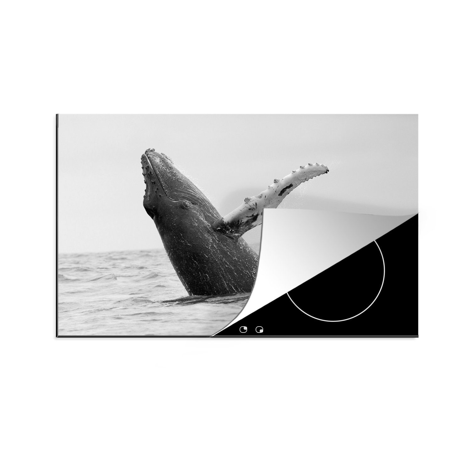 MuchoWow Herdblende-/Abdeckplatte Buckelwal im Meer bei Costa Rica in schwarz-weiß, Vinyl, (1 tlg), 81x52 cm, Induktionskochfeld Schutz für die küche, Ceranfeldabdeckung