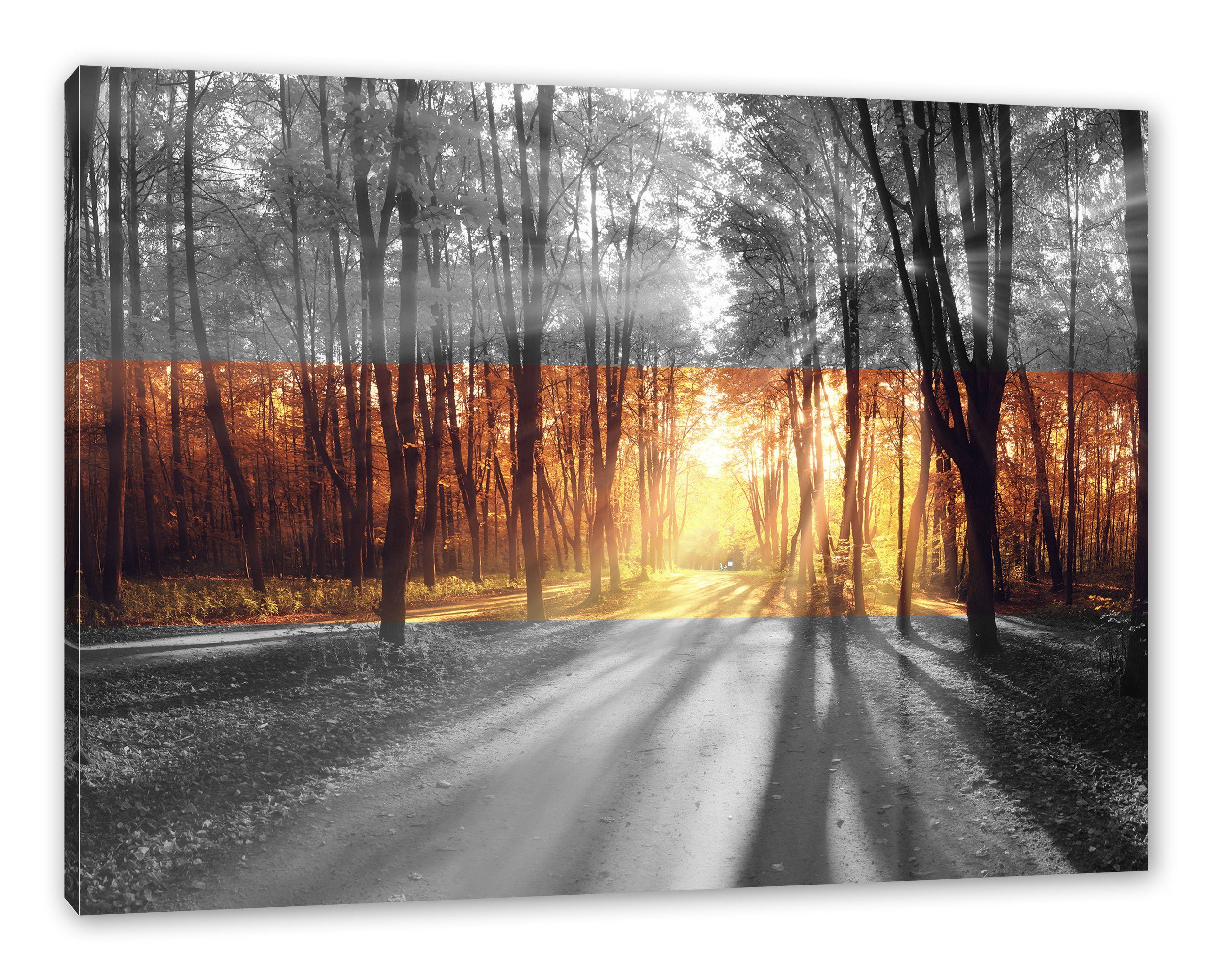 Pixxprint Leinwandbild Allee im Herbstlicht, Allee im Herbstlicht (1 St), Leinwandbild fertig bespannt, inkl. Zackenaufhänger